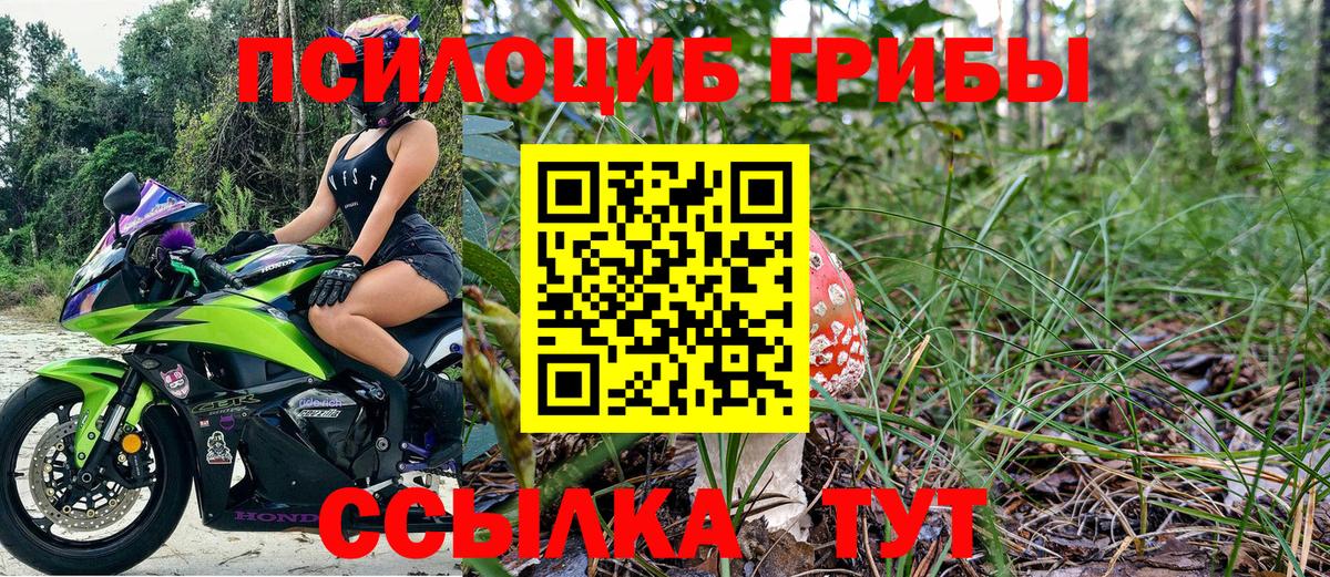 Галлюциногенные грибы Cubensis  Вход с VPN  наркотики  Таганрог  Галлюциногенные грибы прущие грибы 