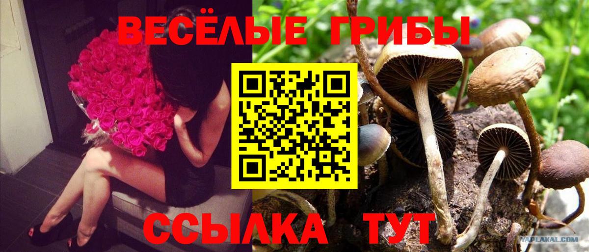 Кетамин  ЭКСТАЗИ  НБОМе  Вход с VPN  Таганрог  Марихуана  Меф МЯУ МЯУ  COCAIN  Гашиш  МЕФ  